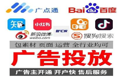 百度品牌专区推广的成效与案例